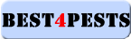 Best 4 Pests